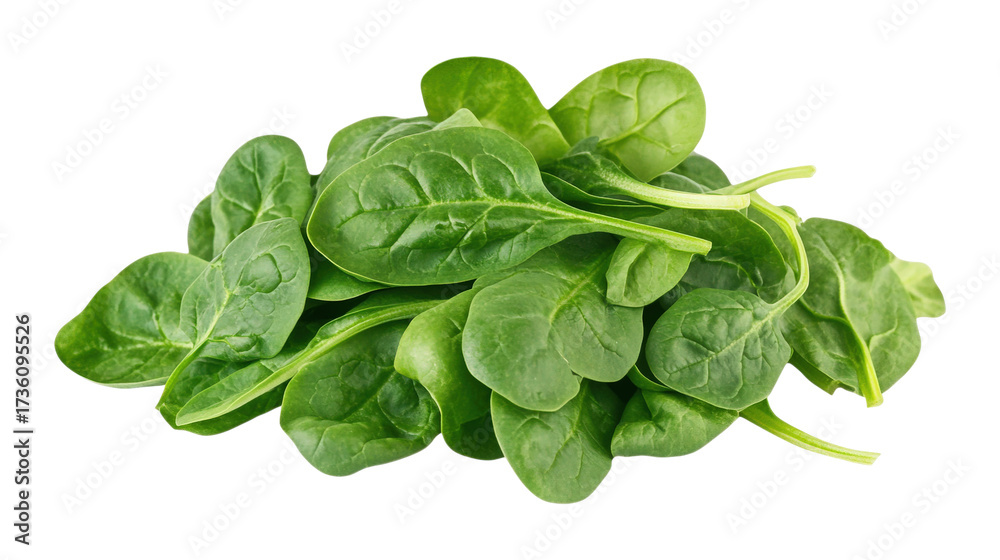 Fototapeta premium Fresh green spinach leaves pile isolated on a transparent background