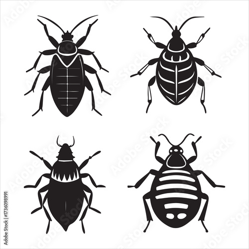 A Nocturnal Bloodsucking Bedbug Pest, a Tiny Flat Bodied Parasite Infesting Mattresses and Furniture, Causing Itchy Welts and Anxiety Home Invasion