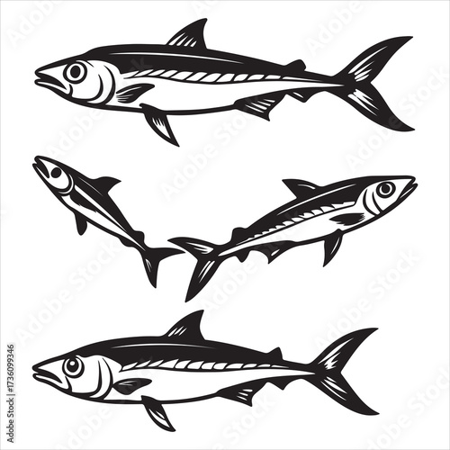 A Nutritious Sustainable Mackerel Fish, an Iridescent Striped Oily Fish Prized for Omega3 Content, Known for Strong Flavor and Pelagic Schooling