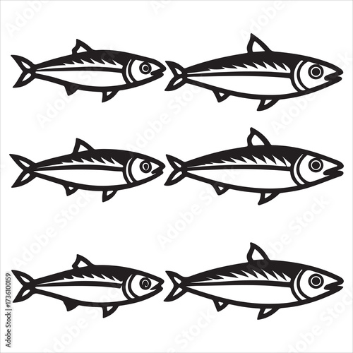A Sustainable Superfood Sardine Fish, a Small Fish Pilchard Oily Fish Prized for Vitamin D and Omega3, Found Swimming in Vast Schooling Numbers