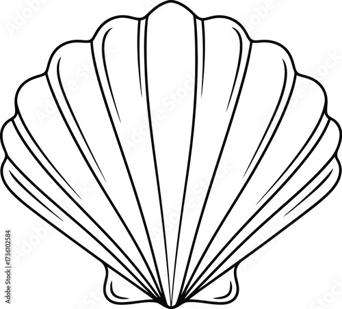 Elegant scallop shell line art illustration beach nature ocean decor vector