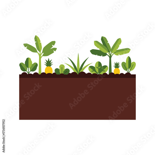 Illustration of a vibrant garden bed with various plants like banana trees and pineapples growing in rich brown soil.