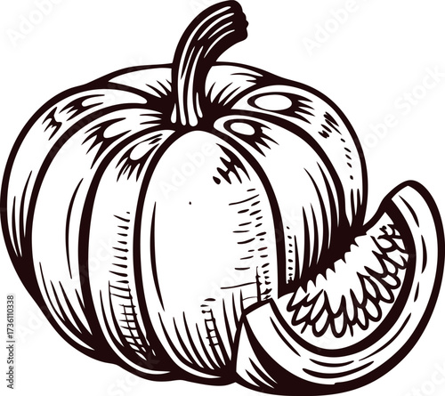 Hand drawn vintage pumpkin with sliced piece black and white engraved autumn vegetable illustration