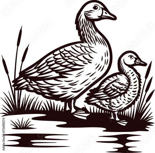 Vintage engraved drawing of two ducks standing by the water with reeds and grass in the background