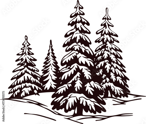 Snow covered evergreen pine trees sketch in winter forest landscape, hand drawn black and white illustration