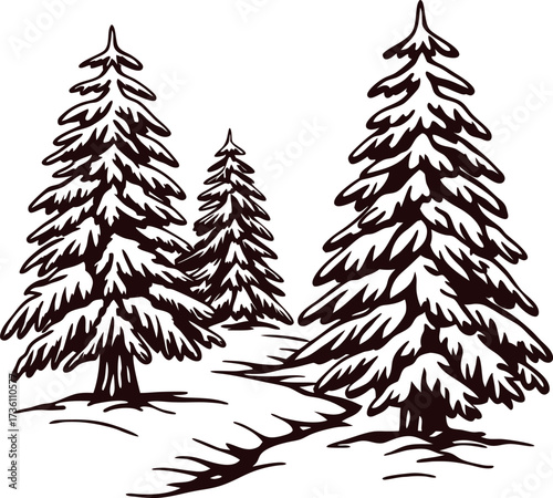 Hand drawn evergreen pine trees in winter forest landscape with snow detailed vintage illustration