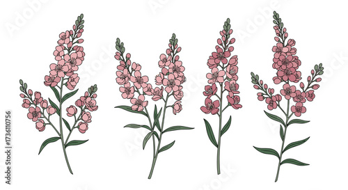 A delightful arrangement of four delicate pink floral sprigs.