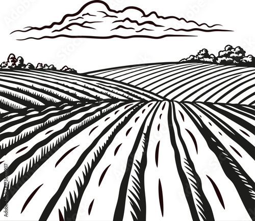 Hand drawn illustration of plowed rural farmland with cloudy sky and distant trees in vintage engraving