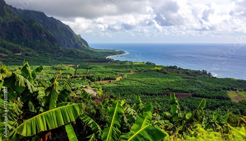 Lush tropical valley meets ocean, mountains frame a cloudy seascape