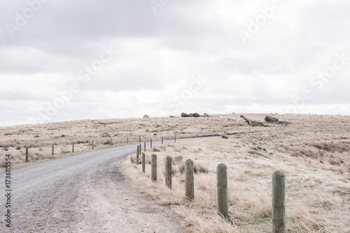 Curving, ravel track with posts and dry, summer grasses