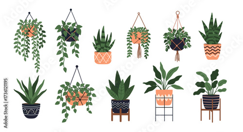 A collection of potted and hanging plants arranged in a decorative pattern.