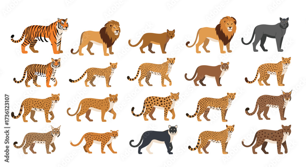 Obraz premium A collection of diverse big cat species and their cubs in various poses.