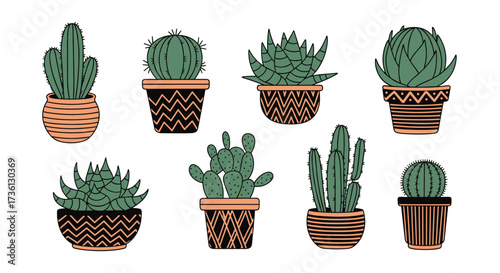 A collection of illustrated potted succulents and cacti.