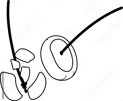  Horse-chestnuts on string. Illustration to traditional game of conkers.