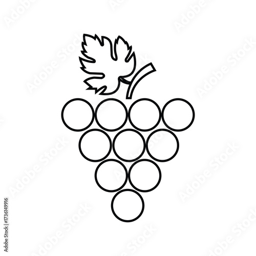 A bunch of circular grapes with a leaf sits on the white background