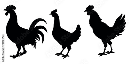 Vector Silhouette Set of Chickens Bold Black Shapes