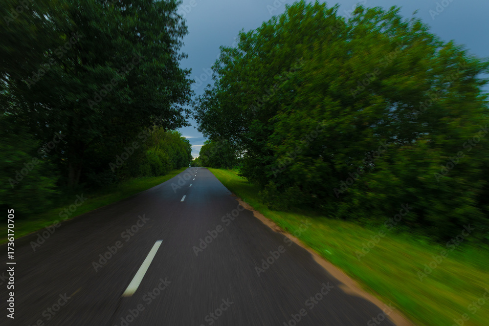 Fototapeta premium The effect of speed on the road and blurred objects. View of the road on a sunny summer day.