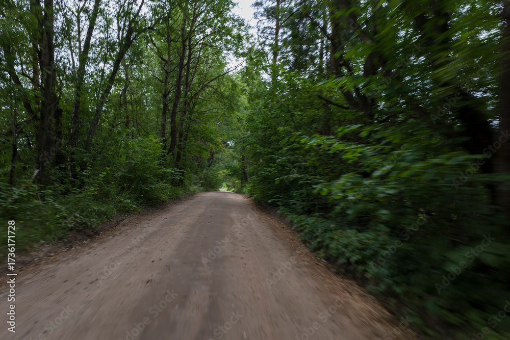 Fototapeta premium The effect of speed on the road and blurred objects. View of the road on a sunny summer day.