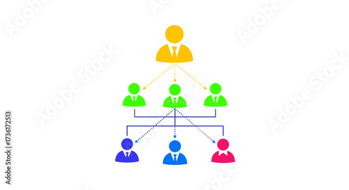 Understanding organizational structures and hierarchical management models for effective business operations.