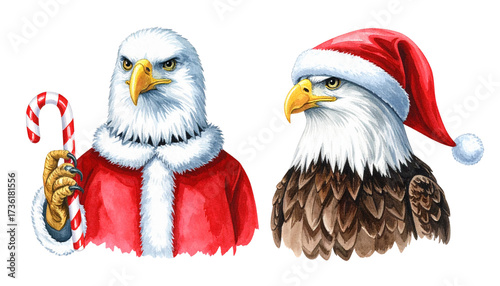 Festive eagle wearing Santa costume dual variation set isolated on transparent background