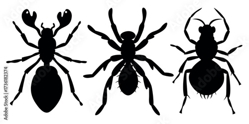 Vector Silhouette Set of Insects Spider Ant and Beetle