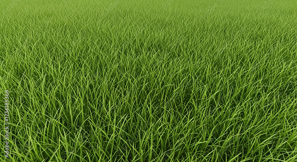 Obraz premium Lush Green Grass Field Background lawn nature