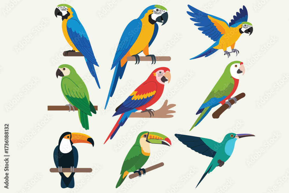 Obraz premium Colorful Bird Collection Parrots, Toucans, and Hummingbird Illustrations