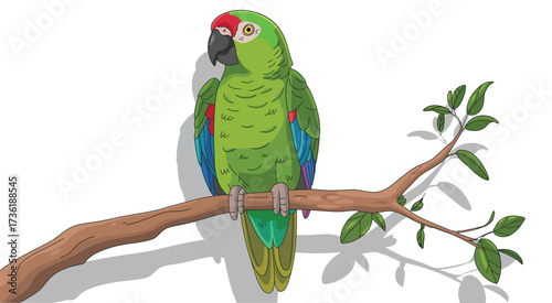 Vibrant Green Parrot Perched on a Branch A Colorful Vector Illustration