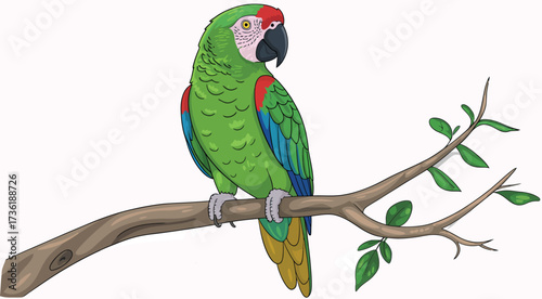 Vibrant Green Macaw Parrot Perched on a Tree Branch with Green Leaves, Tropical Bird Illustration