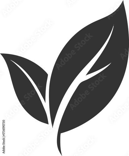 Two dark grey stylized leaves with white veins on white background vector illustration