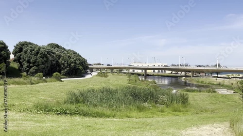 peaceful urban park with lush green grass and tall trees in the foreground, looking out toward a