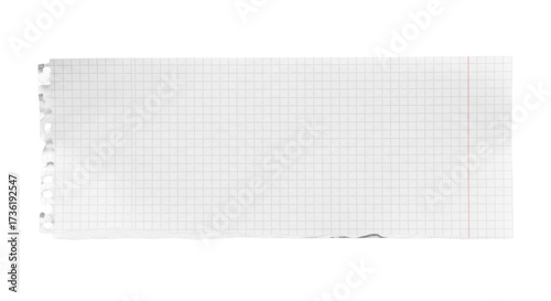 Isolated piece of torn graph paper or notepad sheet, math science education concept