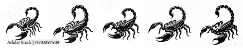 black and white silhouette vector of a scorpion