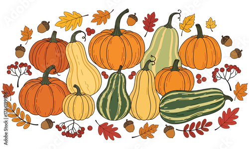 Autumnal Bounty of Pumpkins and Gourds A Festive Seasonal Display of Nature's Harvest