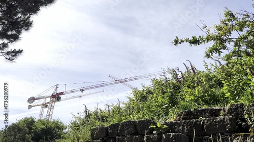 Two construction cranes rise above a slope covered in wild greenery and flowers, with an old stone