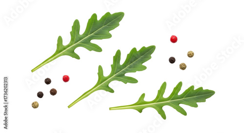 Photos Isolated Arugula sprigs with peppercorns, healthy garnish for elegant dishes