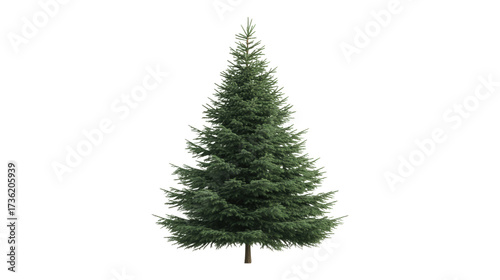 Green Christmas Tree isolated on a transparent background 