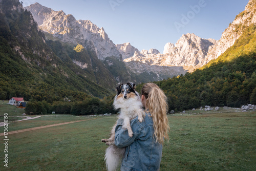 dog in the mountains