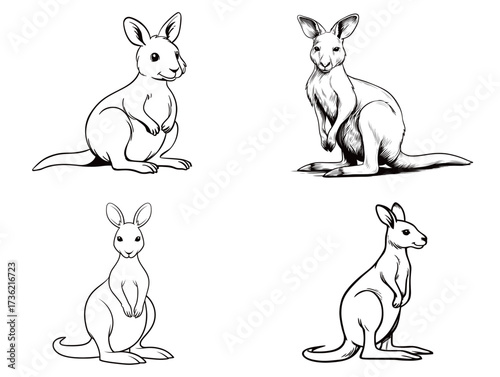 Four distinct illustrations show kangaroos in various poses and styles. Each drawing highlights unique features, capturing the charm of these animals.