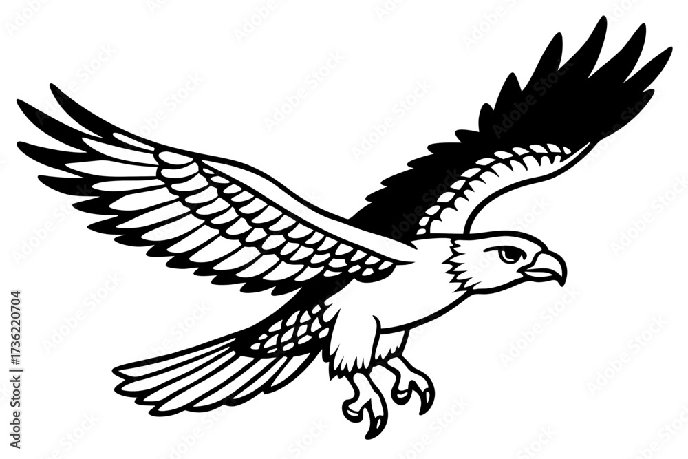 Obraz premium harpy eagle vector illustration