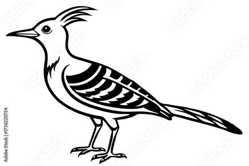 vector drawing of a hoopoe lark bird 