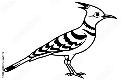 vector illustration of a hoopoe lark bird