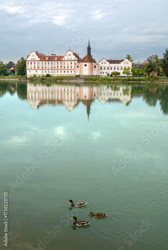 Three ducks swimming in front of Neuhaus castle on the shore of the Inn river on the German side of the river, seen from Scharding in Austria 
