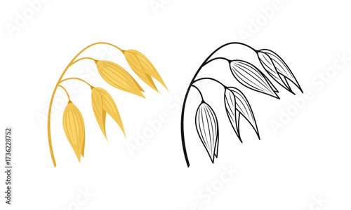 Oat ear color cartoon illustration and simple outline. Cereal plant icon.