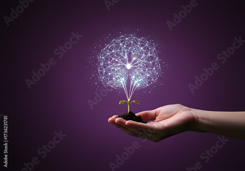 Growing Ideas from a Seed