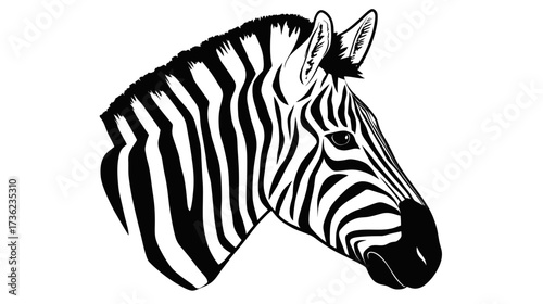 Close-up black and white illustration of a zebra head, showcasing its distinctive striped pattern and wild animal beauty in a graphic style.