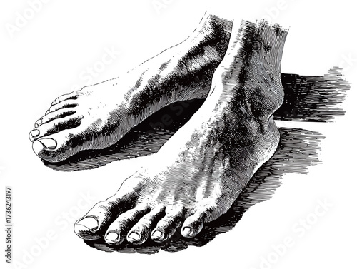 In this artistic piece, a detailed drawing displays bare human feet from an angled perspective. Textures and contours are highlighted, emphasizing anatomy.