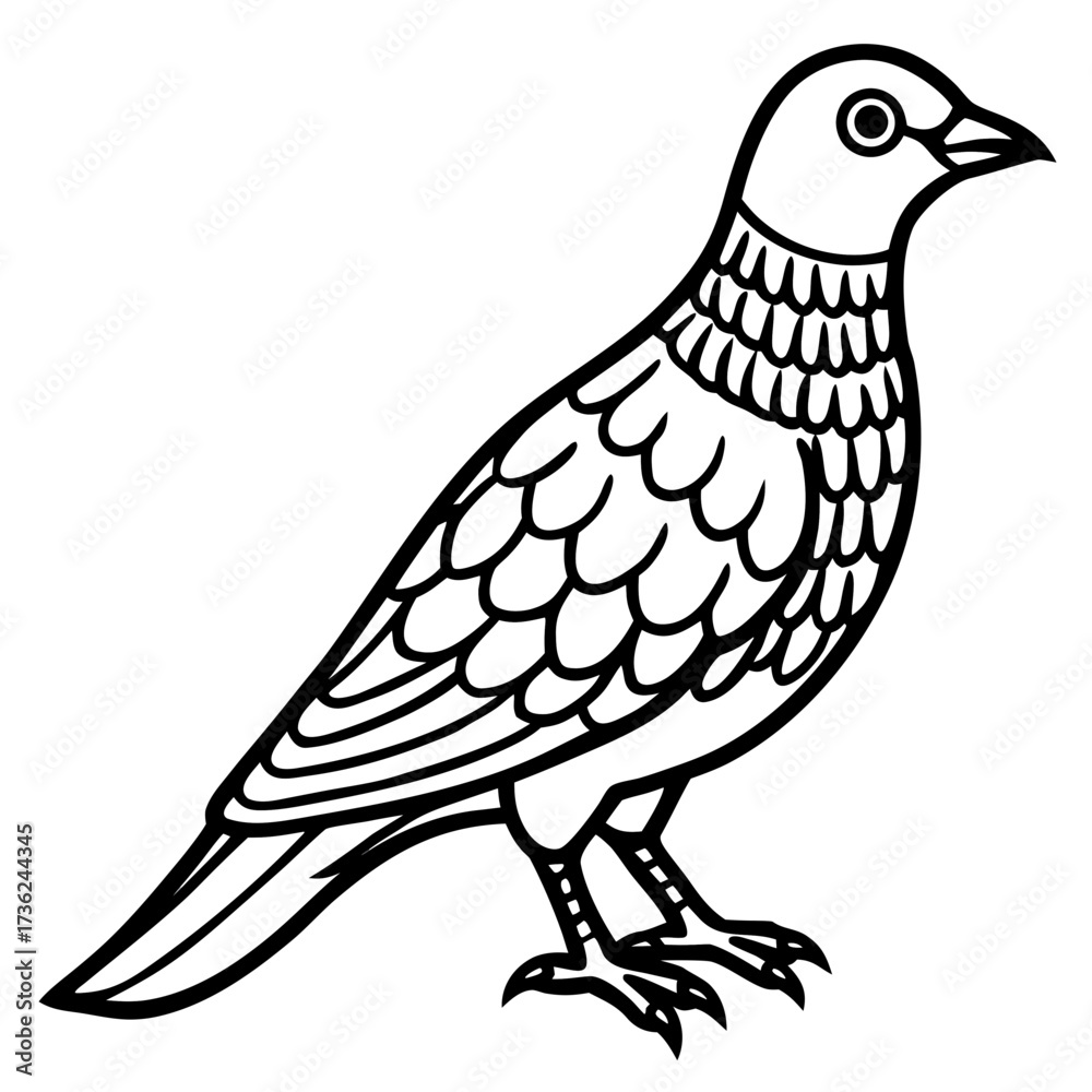 Obraz premium Nightjar line art vector