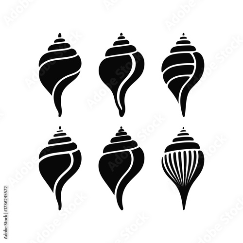 Collection of six stylized seashell silhouettes