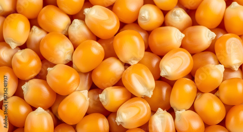 Macro Photography of Corn Kernels with Vibrant Yellow and Orange Tones